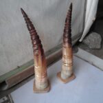 Vibrant pair of cow horns, artistically carved and colored, showcasing unique designs and craftsmanship, created by Rafiu Adam.