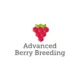 Advanced Berry Breeding B.V.