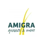 B2B Directory 157 Amigra Grasses & More