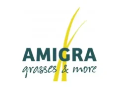Amigra Grasses & More Amigra Grasses & More