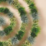 Amigra Grasses & More