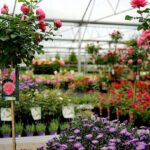 Added Value Support GmbH