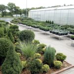 Added Value Support GmbH