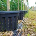 Agraria Checchi Silvano SpA