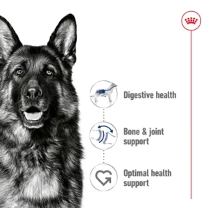 Maxi Adult Dry food for dogs - ROYAL CANIN SAS Maxi Adult Dry food for dogs - ROYAL CANIN SAS