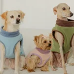 Fleece Reversible Zip Up - Gooby