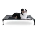 Central Garden and Pet - K&H Pet Products Original Pet Cot Elevated Dog Bed
