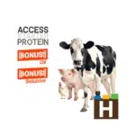 Protéger fermented plant-based pet food ingredient - prebiotics postbiotics isoflavones - supports gut health and longevity - Hall 7 Booth 7-511b