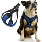 Comfort X Step In Lite Dog Harness - Gooby