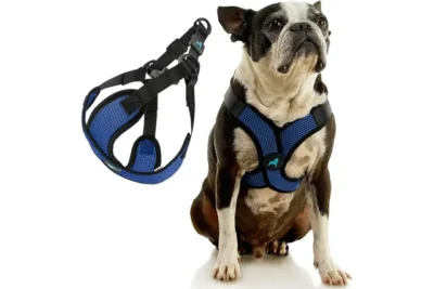 Comfort X Step In Lite Dog Harness - Gooby Comfort X Step In Lite Dog Harness - Gooby
