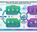 Framework showing how international buyer trust compounds through continuous visibility: awareness, verification, reinforcement, and partnership over 12 months
