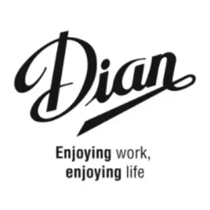 DIAN logo - Division Anatomicos S.L. - anatomical and safety footwear for healthcare professionals - established 1987 - MEDICA 2026